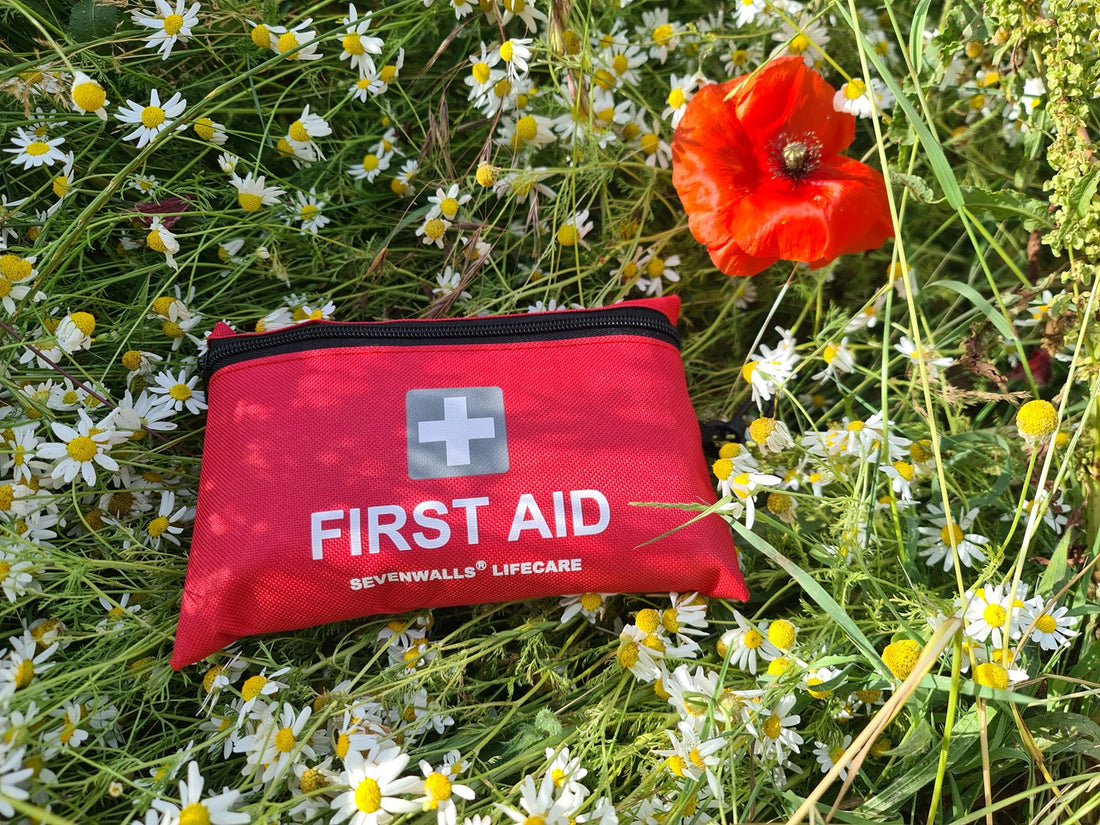 Why Every Traveller in the UK Needs a Mini First Aid Kit