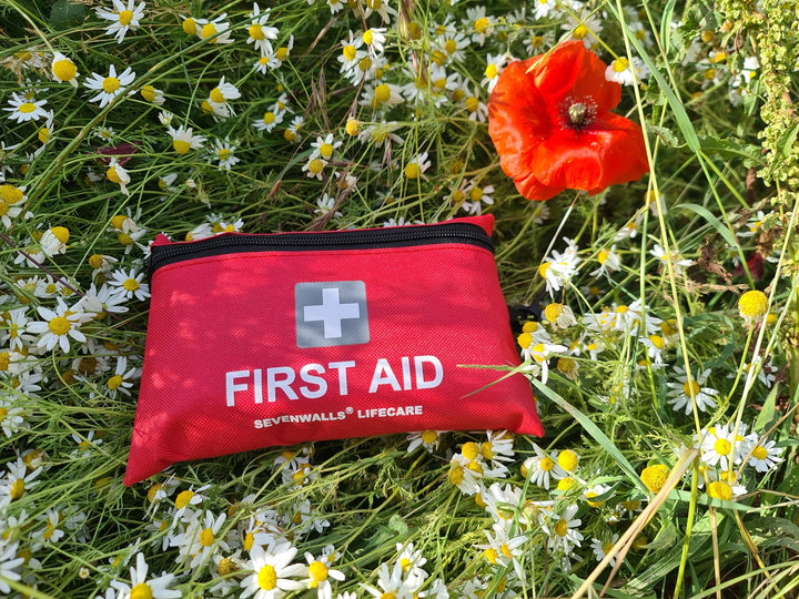 Why Every Traveller in the UK Needs a Mini First Aid Kit